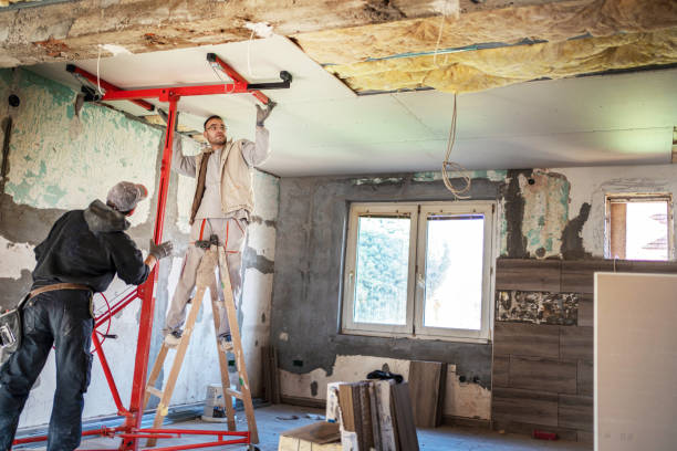 Best Cellulose Insulation  in Lafayette, IN